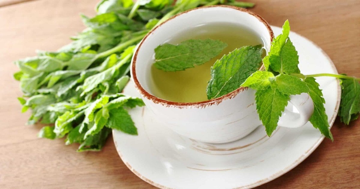 Spearmint Tea